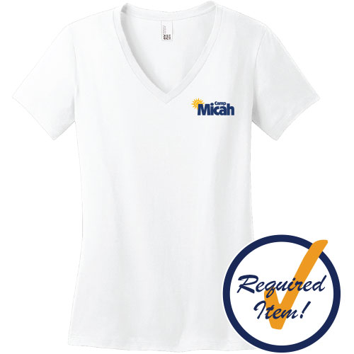 LADIES' V-NECK TEE